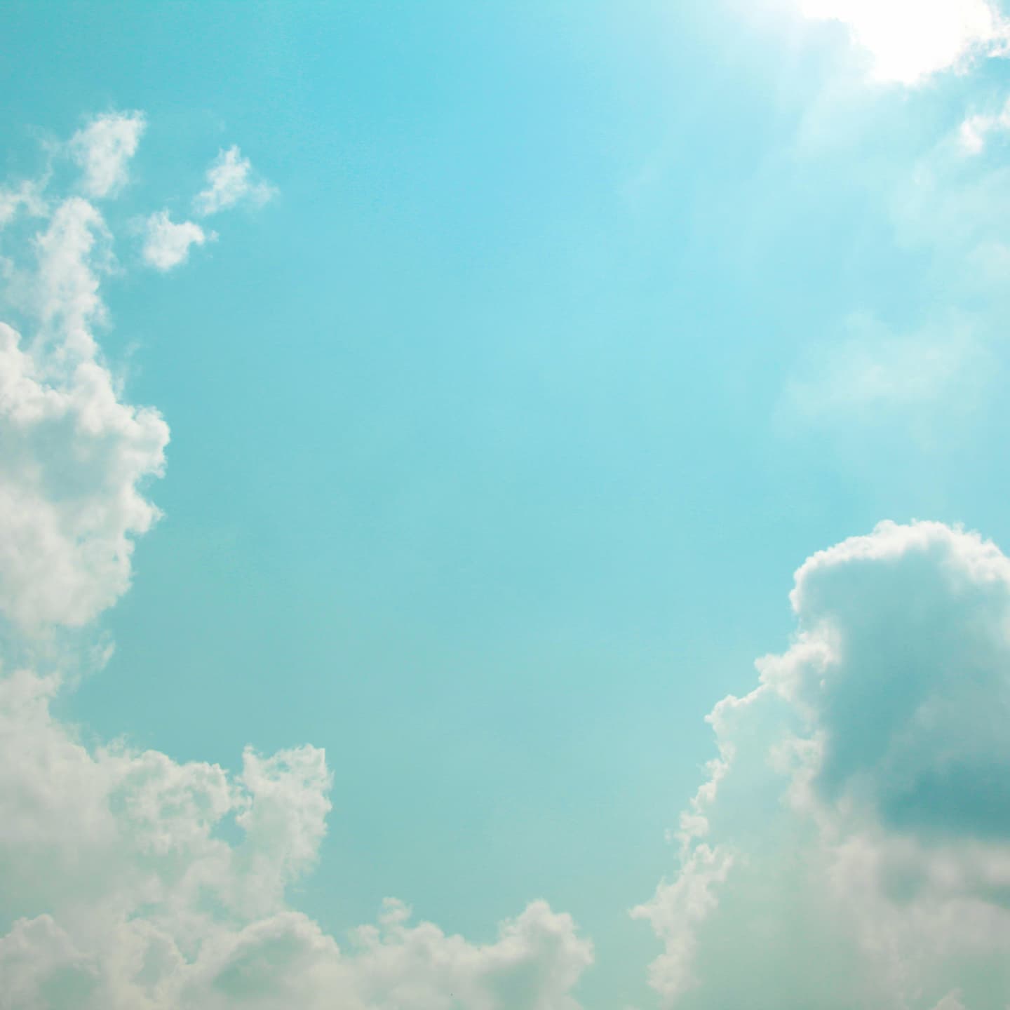 知りたいことを知る